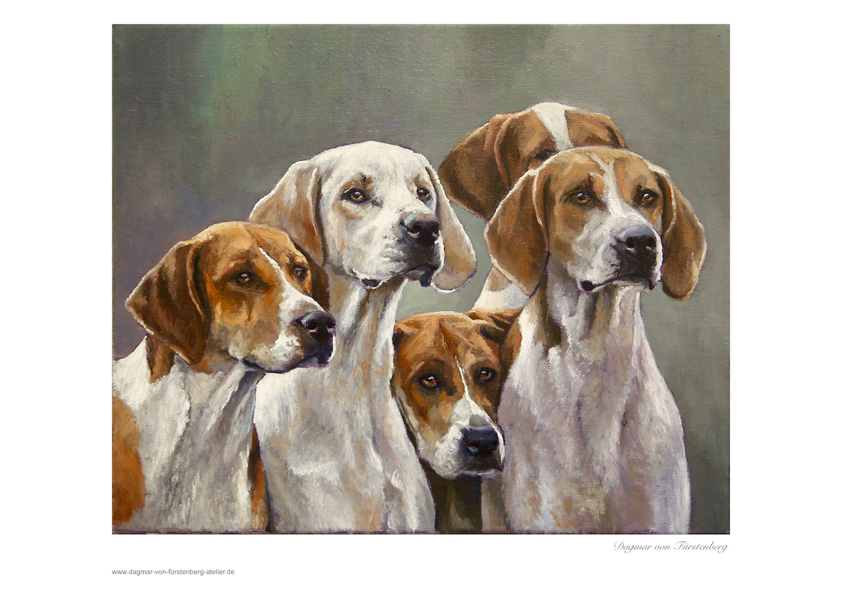 5 Foxhounds